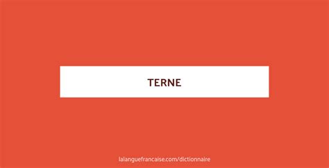 synonyme terne